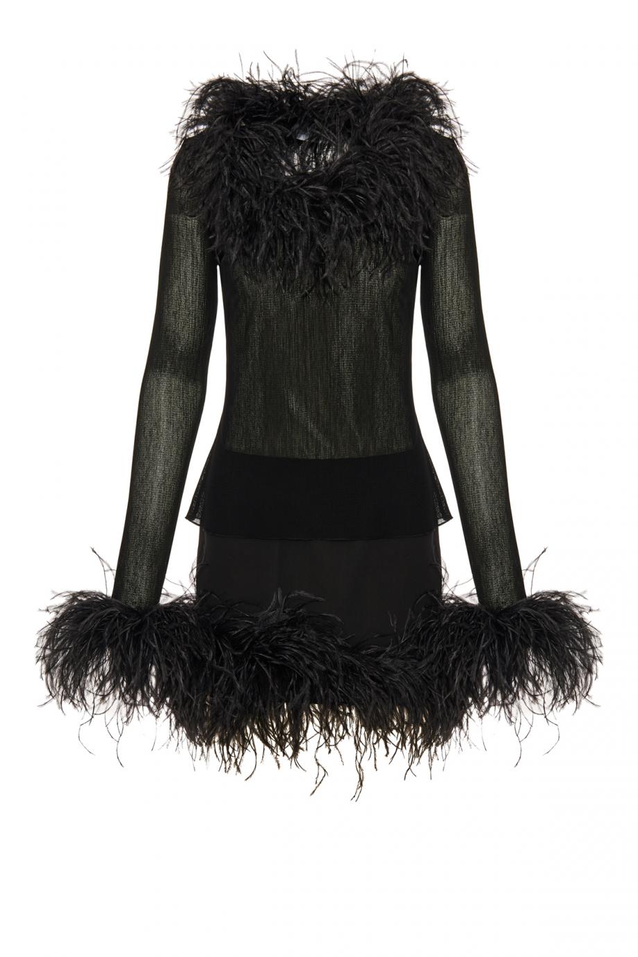 Pendall semi-sheer feathered top 