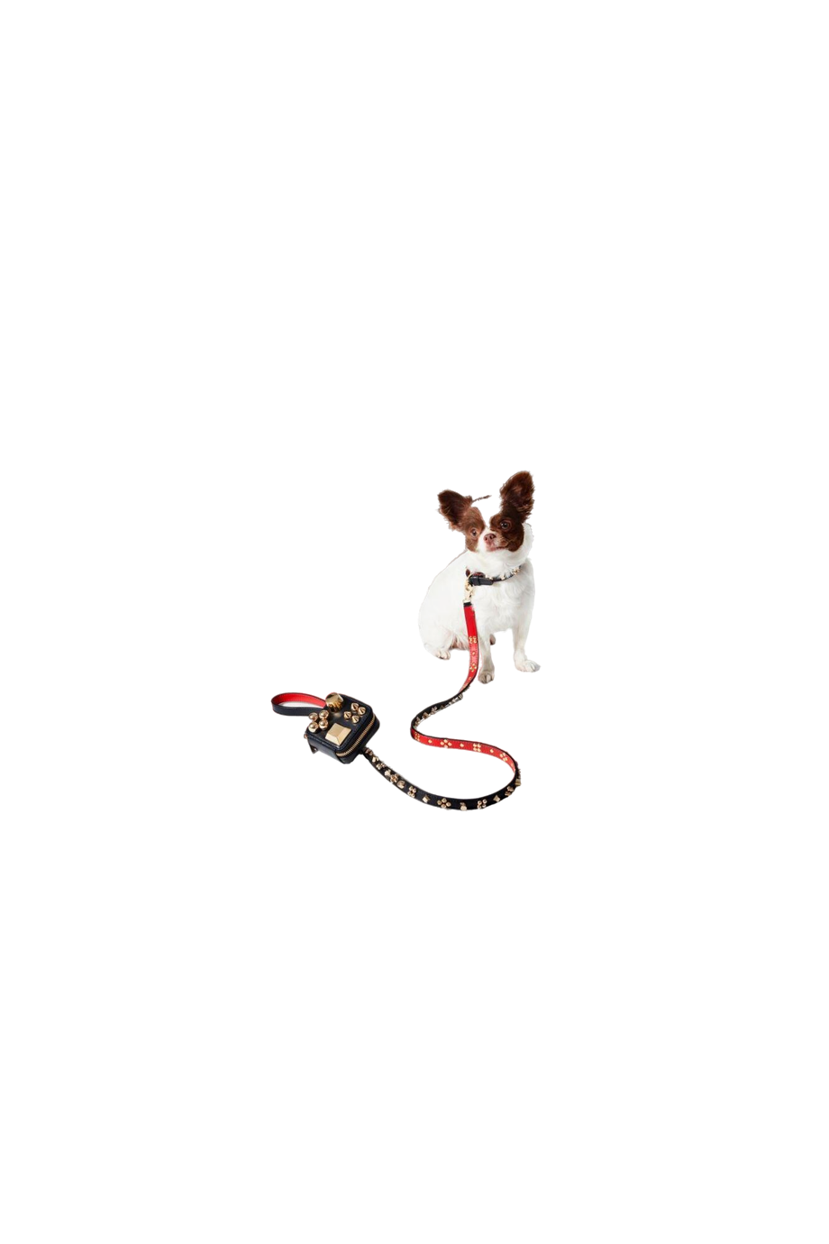 Loubileash embellished leather pet accessory