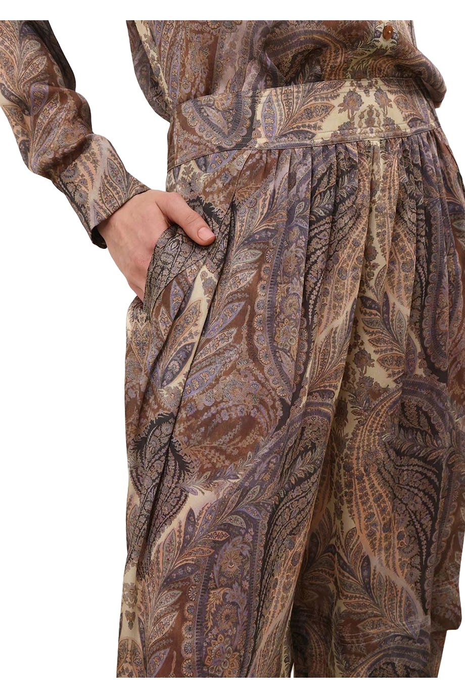Hypnotic printed silk harem pants