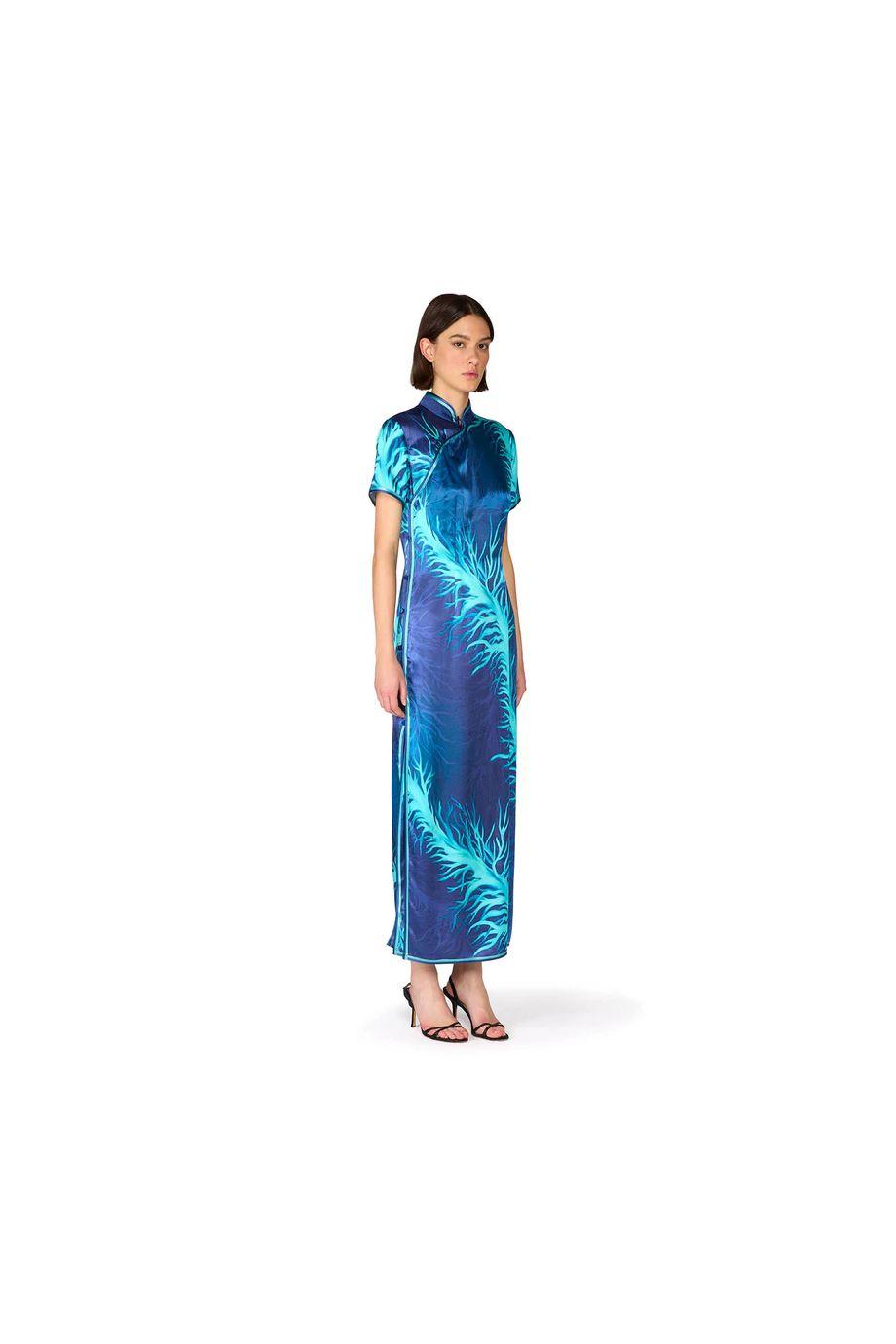 Eutenea printed silk-blend maxi dress in blue corals