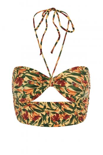 Amatista printed bikini top 