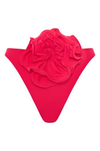 Appliquéd bikini bottoms 