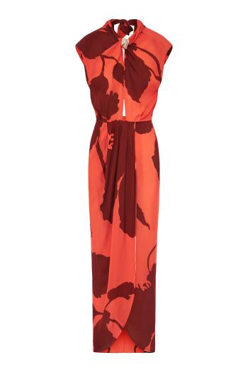 Ispiring Vistas printed silk maxi dress 