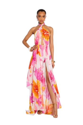 Ina printed chiffon maxi dress 