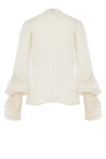 Ruffled silk-organza blouse
