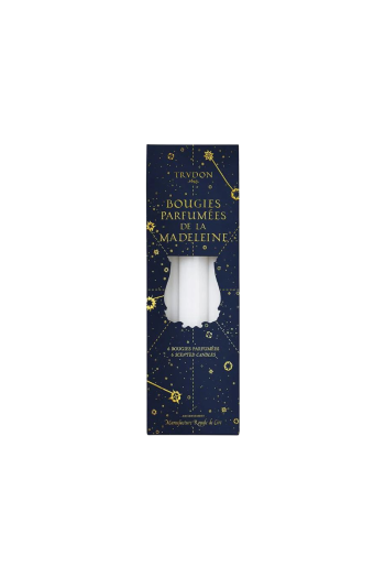 HOLIDAY COLLECTION- Fir Scented Madeleine 6 taper candles 20cm 
