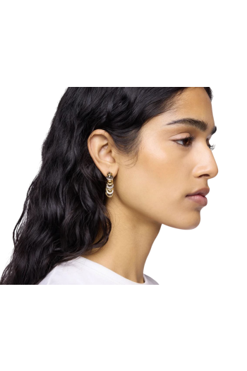 Boucle D'oreil embellished earrings in gold and silver